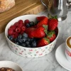 Clearance Djerf Avenue All Around Bowl Big Summer Berries